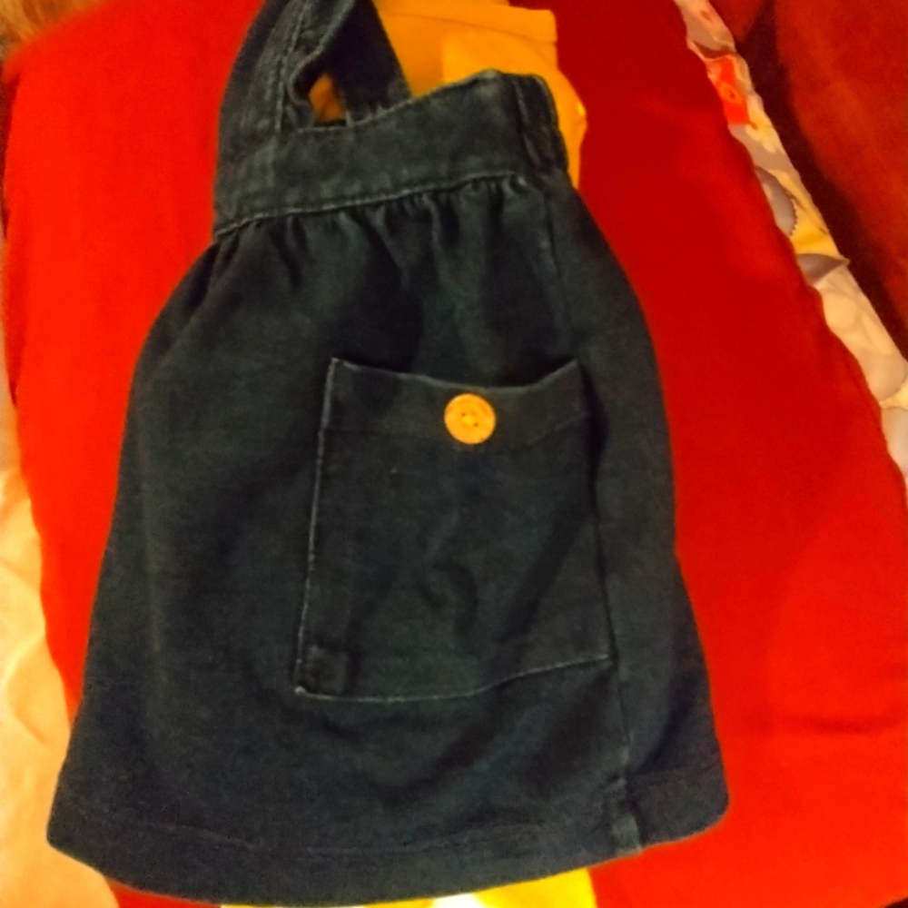 Little Girls overall dress, top and stockings